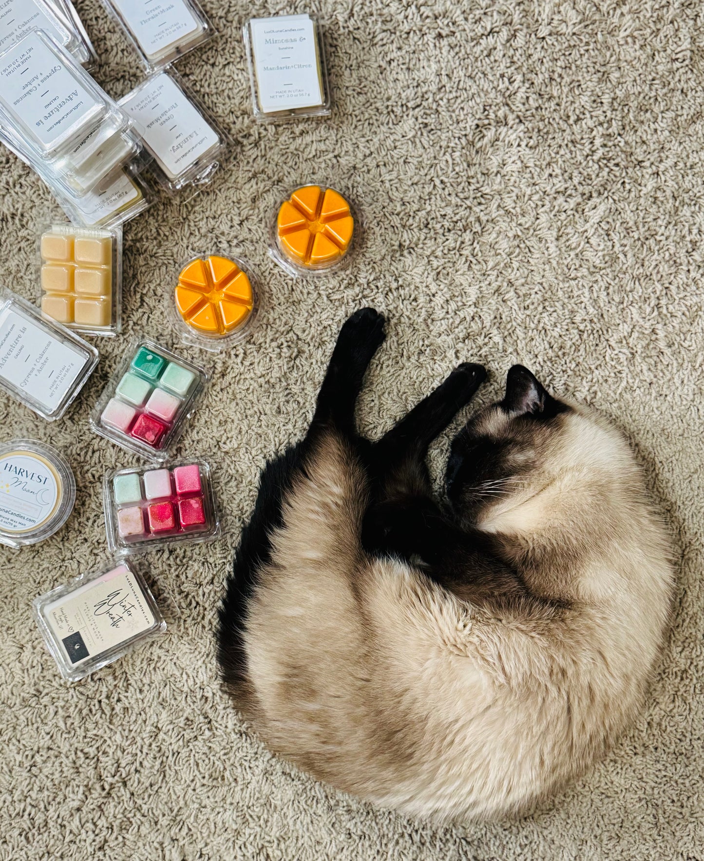 Wax Melts