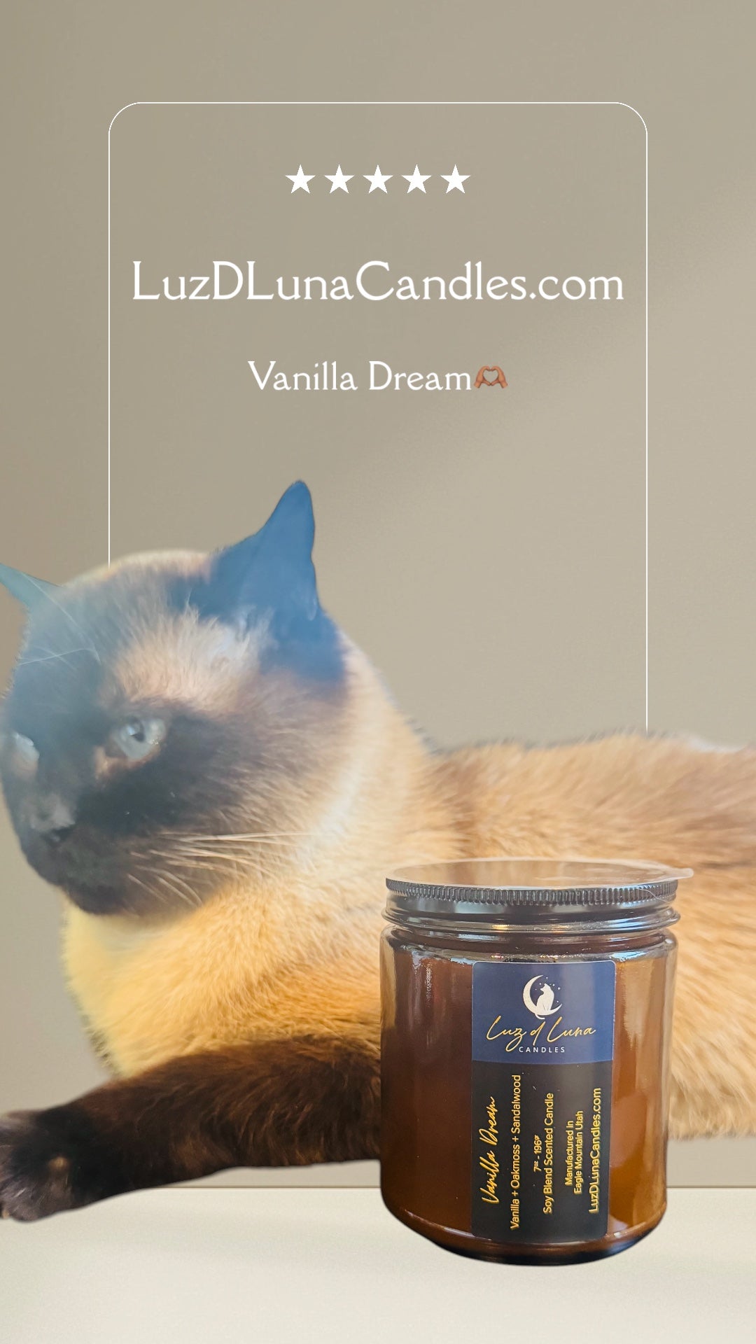 Vanilla Dream